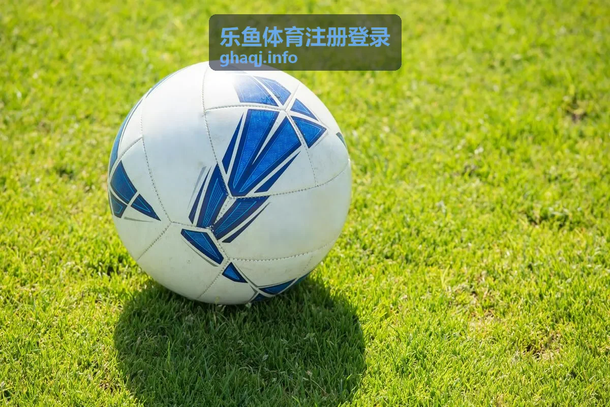 乐鱼体育账户安全保障措施